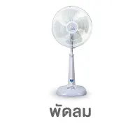 ALL-LIVING-พัดลม