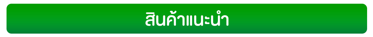 สินค้าแนะนำ