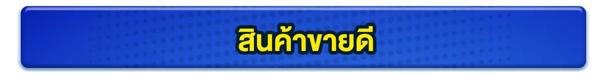 สินค้าขายดี