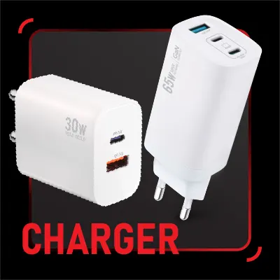 SIS_Rizz_Dec25 Cate Charger