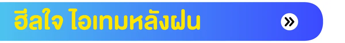 ฮีลใจ ไอเทมหลังฝน