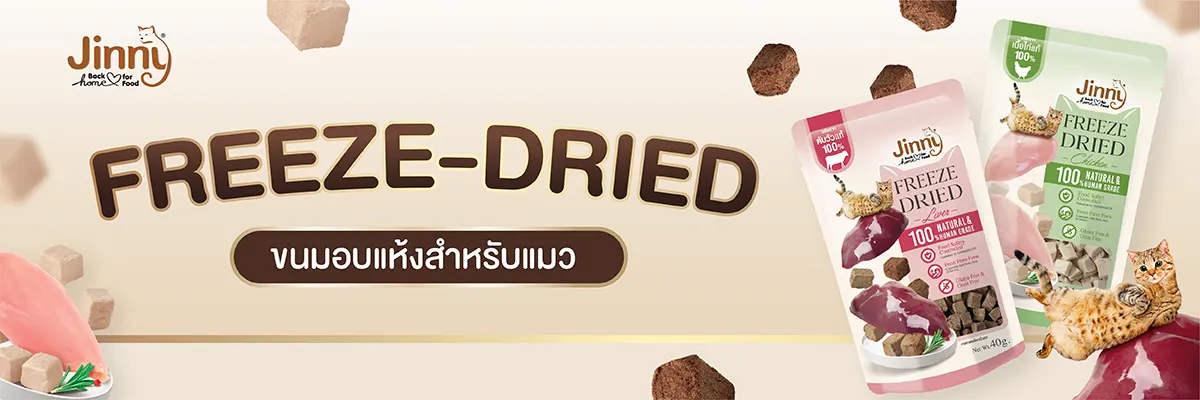 SIS_Interpet_April24