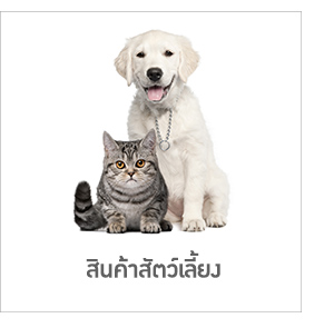 สินค้าสัตว์เลี้ยง