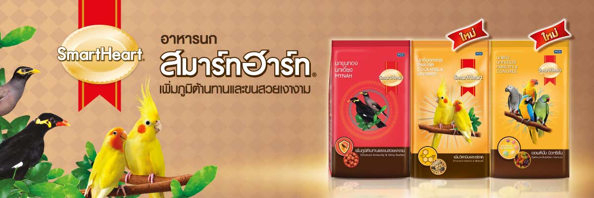 PCG อาหารนก