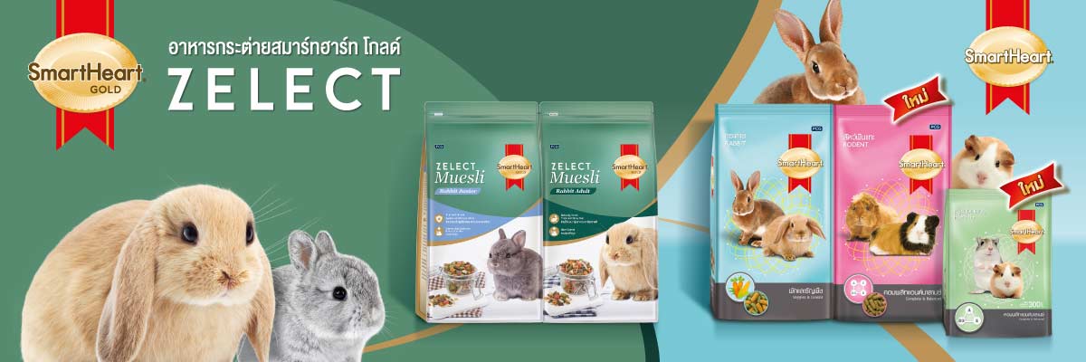 PCG อาหารกระต่าย