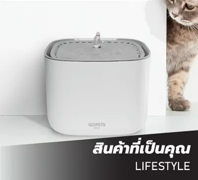 SIS_Rizz_June24_Cate9