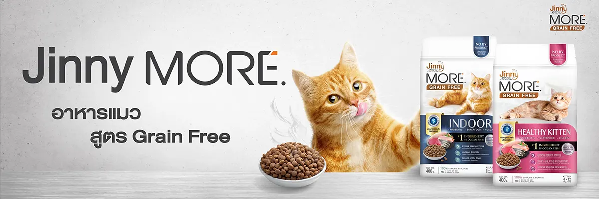 อาหรแมว สูตร grain free