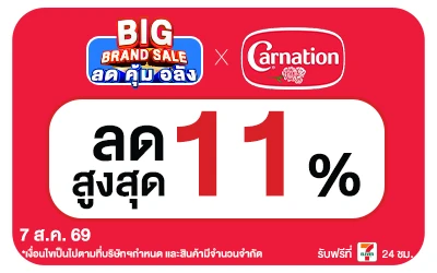 Below-Big Brand Sale Carnation