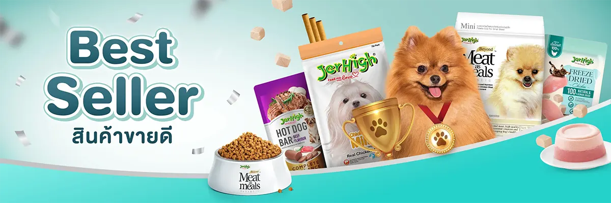 SIS_Interpet_April24