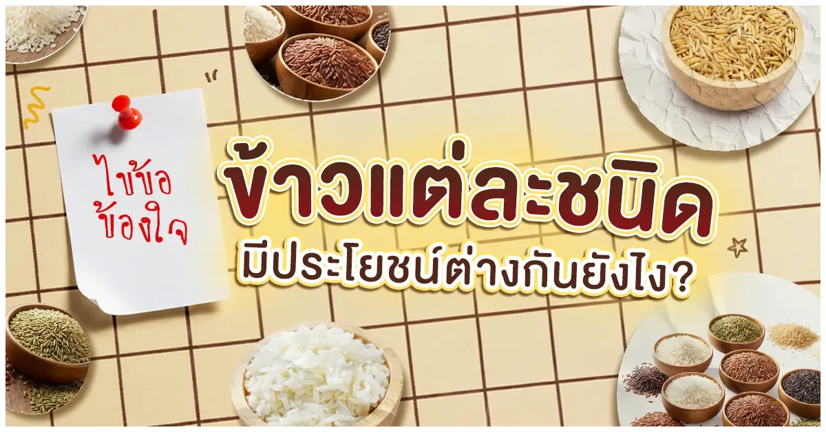 Blog-ข้าวแต่ละชนิด มีประโยชน์ต่างกันยังไง