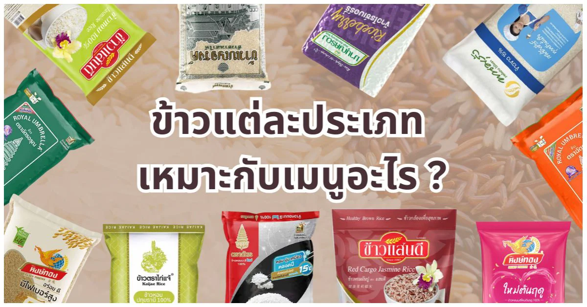 Blog-ข้าวแต่ละประเภทเหมาะกับเมนูอะไร