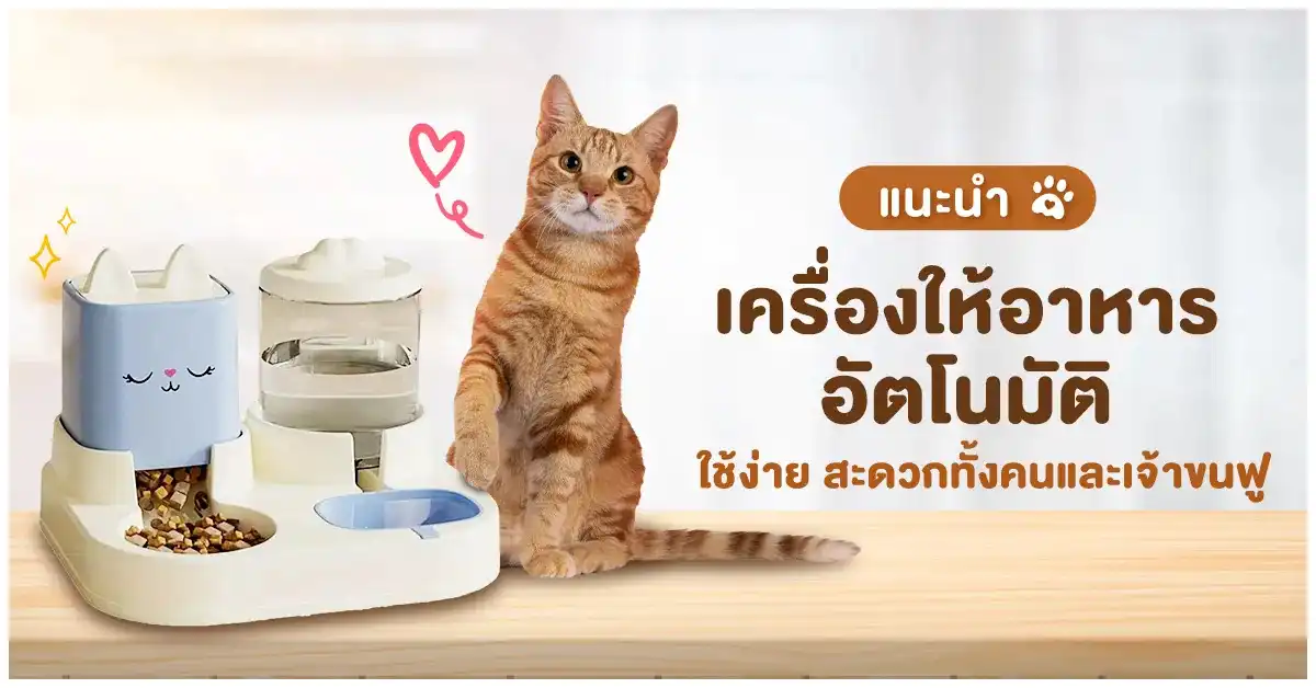 Blog-เครื่องให้อาหารอัตโนมัติ ใช้ง่าย
