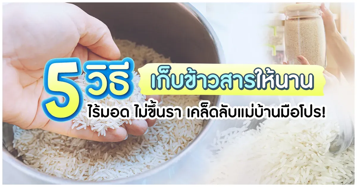Blog-5 วิธีเก็บข้าวสารให้นาน