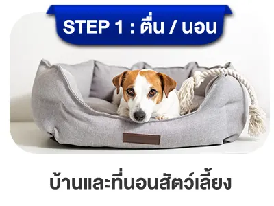 บ้านและที่นอนสัตว์เลี้ยง