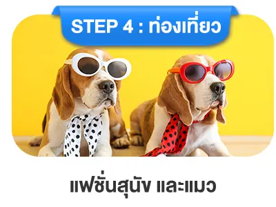 แฟชั่นสุนัข แมว