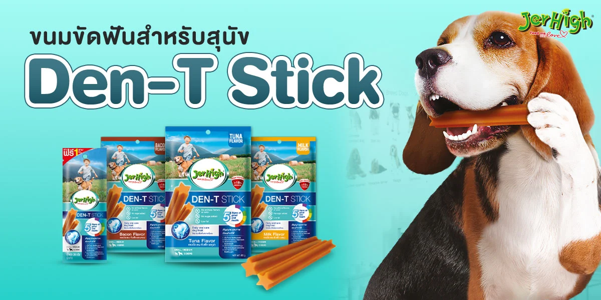 SIS_interpet_July24_hero4