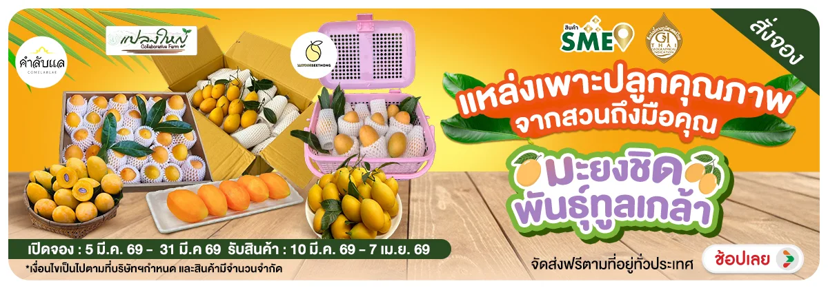 Hero-NON- Pre-orderมะยงชิดพันธ(11) 05.03.2026-01.04.2026 H12