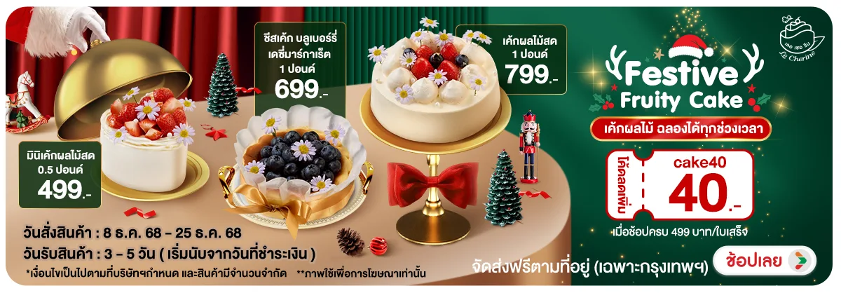 Hero-NON-Festive Fruity Cake 0825.12.25 H12