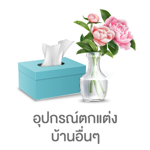 อุปกรณ์ตกแต่งบ้านอื่นๆ
