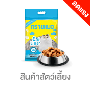 ICON-CAT-สัตว์เลี้ยง-ลดแรง
