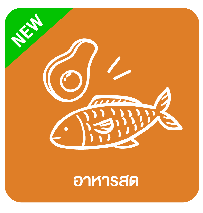 สินค้าใหม่ตามหมวดหมู่