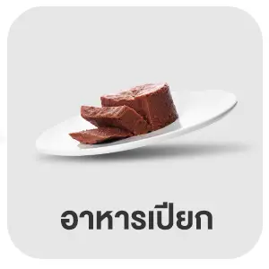 Pets อาหารเปียก