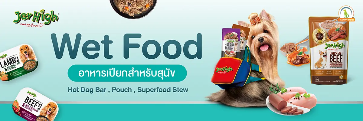 SIS_interpet_April24