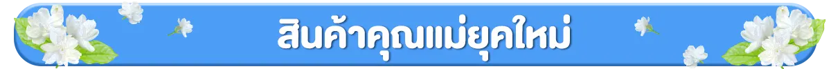 สินค้าคุณแม่ยุคใหม่