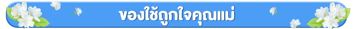 ของใช้ถูกใจคุณแม่​​
