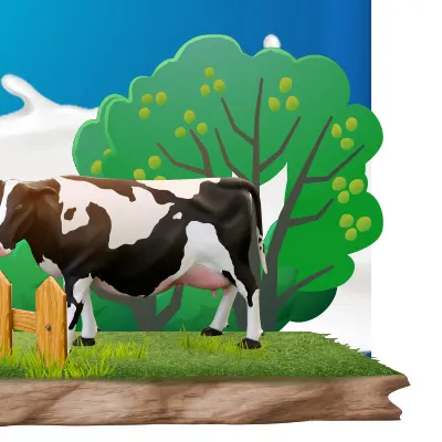 Milk Festival (24 - 30 Nov 25)