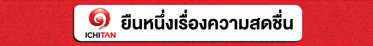 Strip_Banner_ยืนหนึ่งเรื่องความสดชื่น