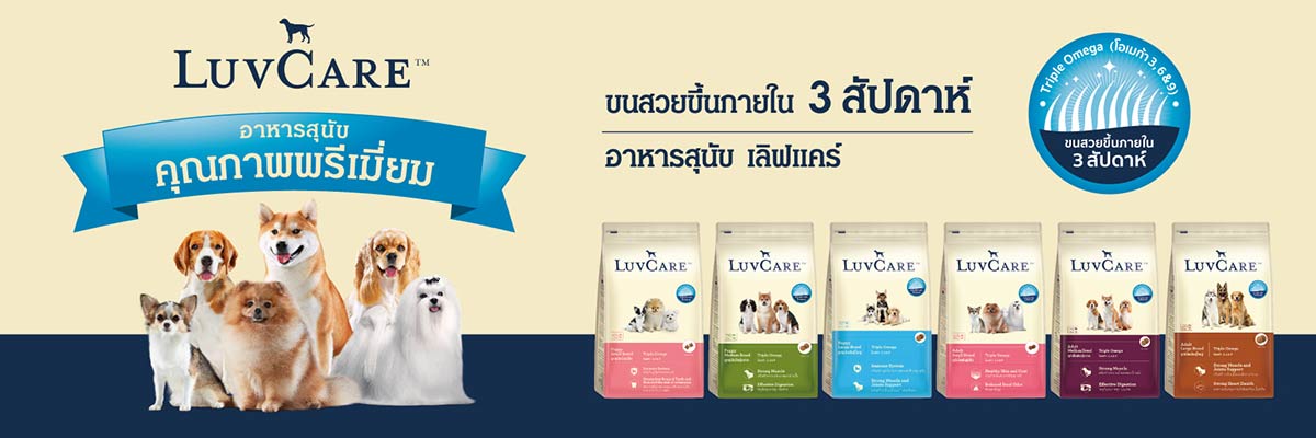 Sub-Category-Banner-No5