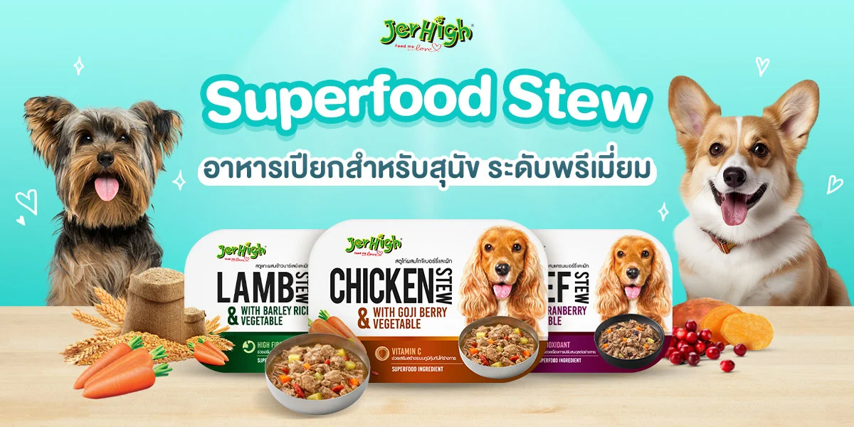 SIS_interpet_July24_hero3