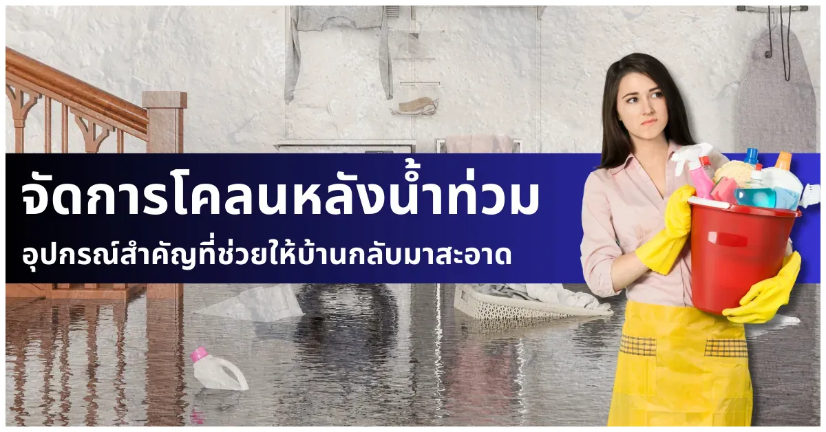 blog-จัดการโคลนหลังน้ำท่วม