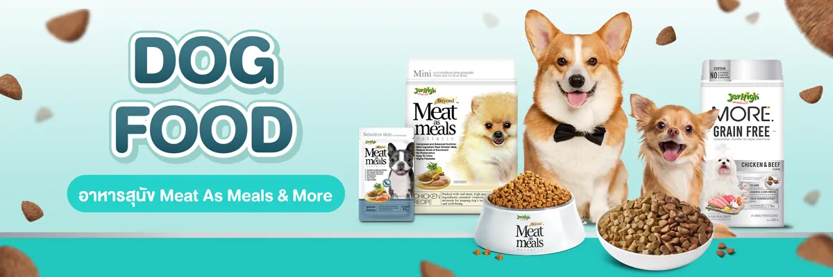 SIS_Interpet_April24