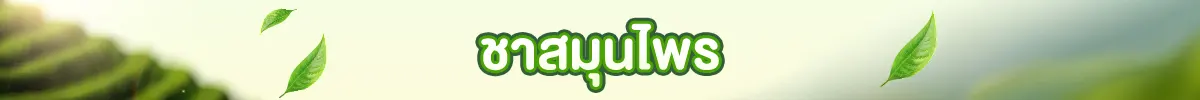 วันชาสากล (19 - 21 May 25)
