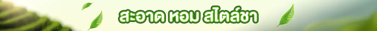 วันชาสากล (19 - 21 May 25)
