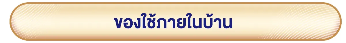 ของใช้ภายในบ้าน