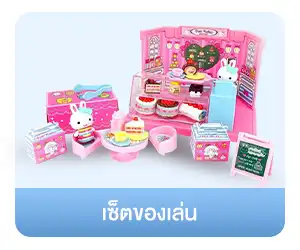 เซ็ตของเล่น