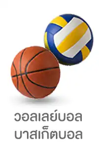 วอลเล่ย์บอลและบาสเก็ตบอล