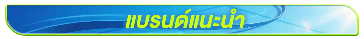 แบรนด์แนะนำ